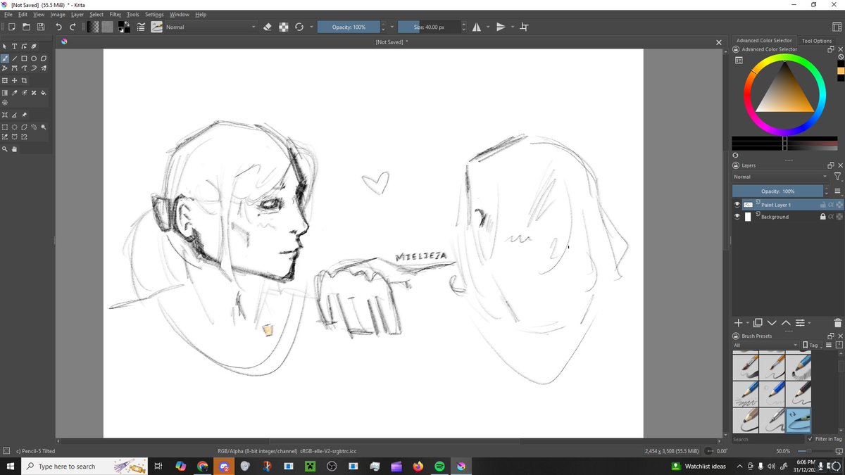 mielie11a's tweet image. Solis and her girlfriend Nokk :33 #R6 #R6S