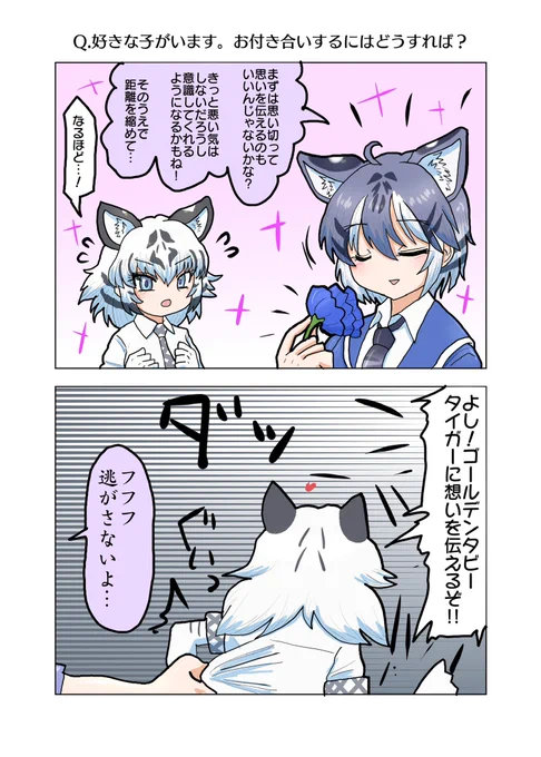 恋愛相談

マルタタイガーに聞いてみるホワイトタイガーさん 