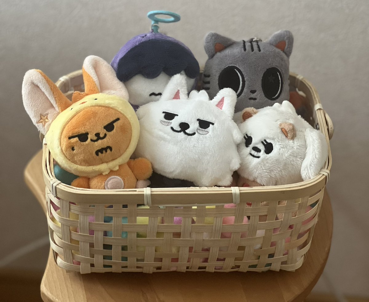 _populuspopulus's tweet image. 2025年もたくさんTOMORROW X TOGETHERに会えますように⋰˚☆
