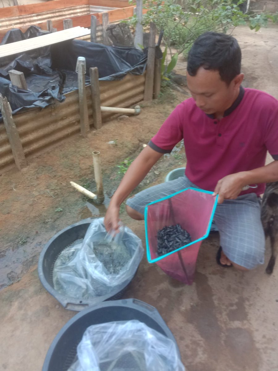 Fridudin tweet media