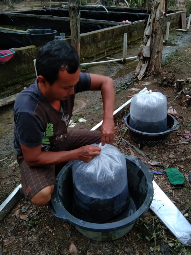 Fridudin tweet media