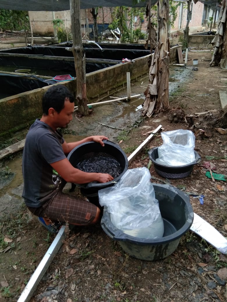 Fridudin tweet media