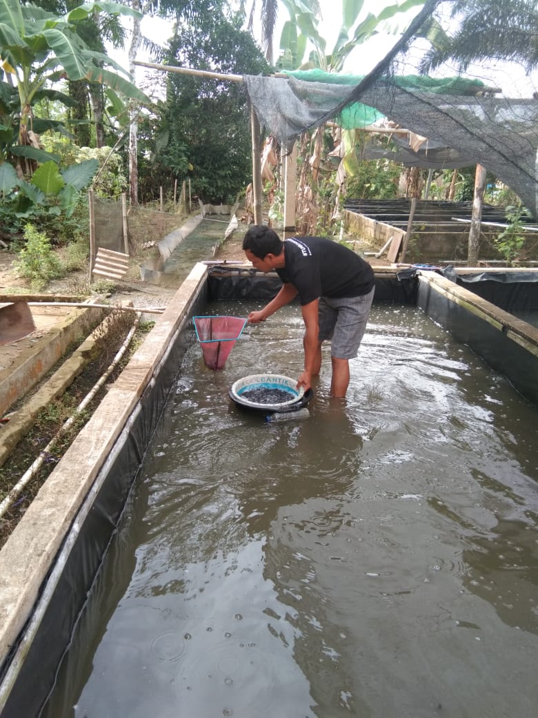 Fridudin tweet media