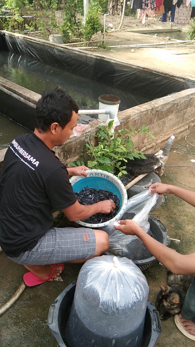 Fridudin tweet media