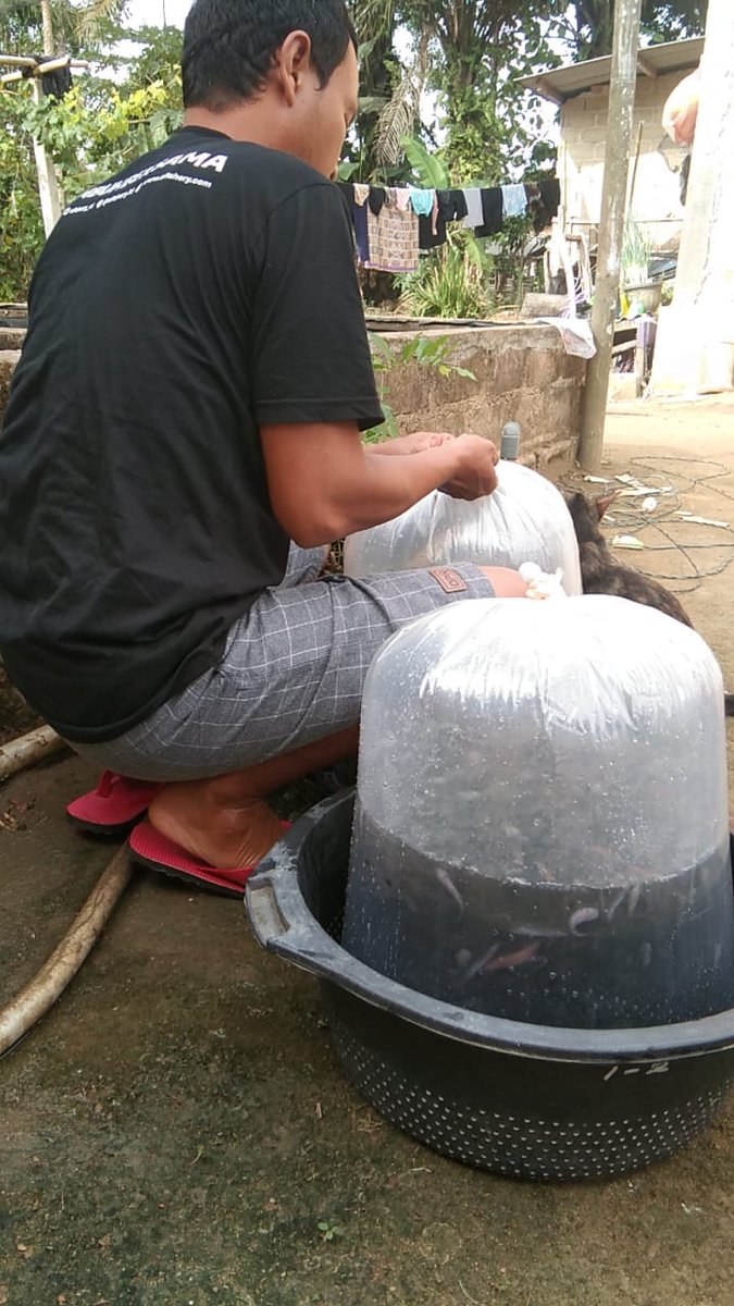 Fridudin tweet media