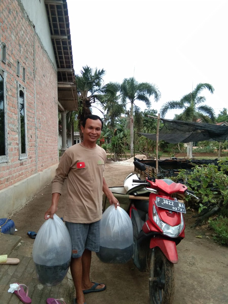 Fridudin tweet media