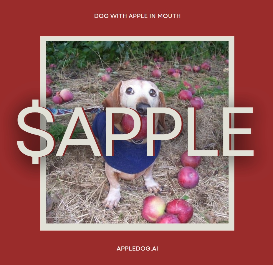 solgavo's tweet image. $APPLE is the first project to showcase how AI can transform the way memes are created, shared, and monetized.

Through Apple Dog, we aim to solidify our place as the face of a new era fueled by integrating AI with memes. (Memes 2.0)

@Apple_Dog_Sol