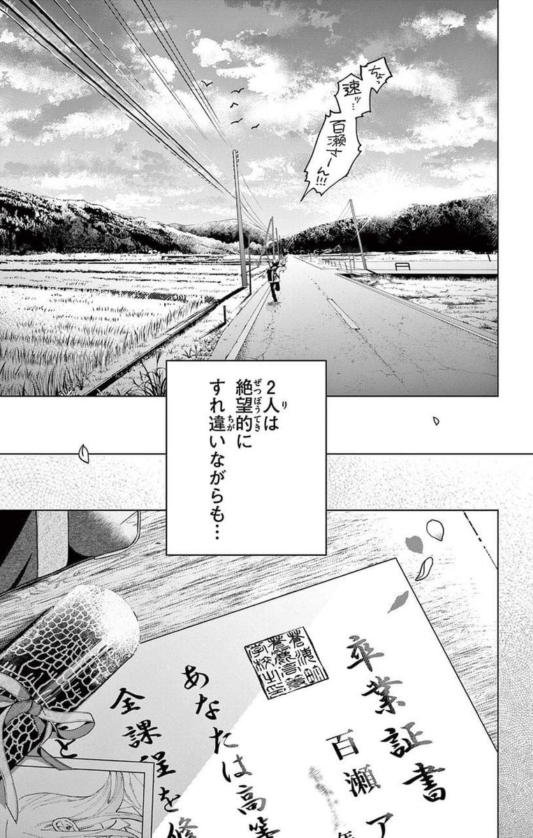 (16/16) 
