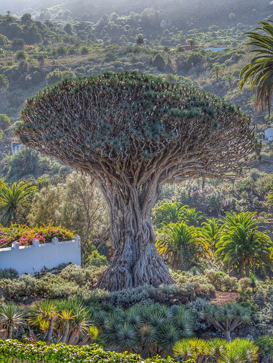 Jim the Siiker tweet media