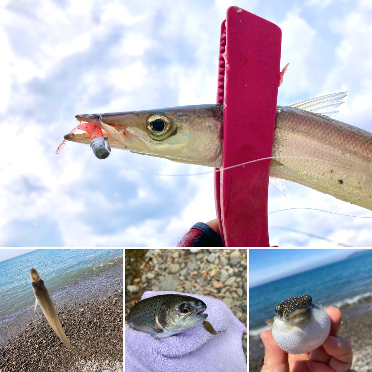 MIC@みっちゃん tweet media