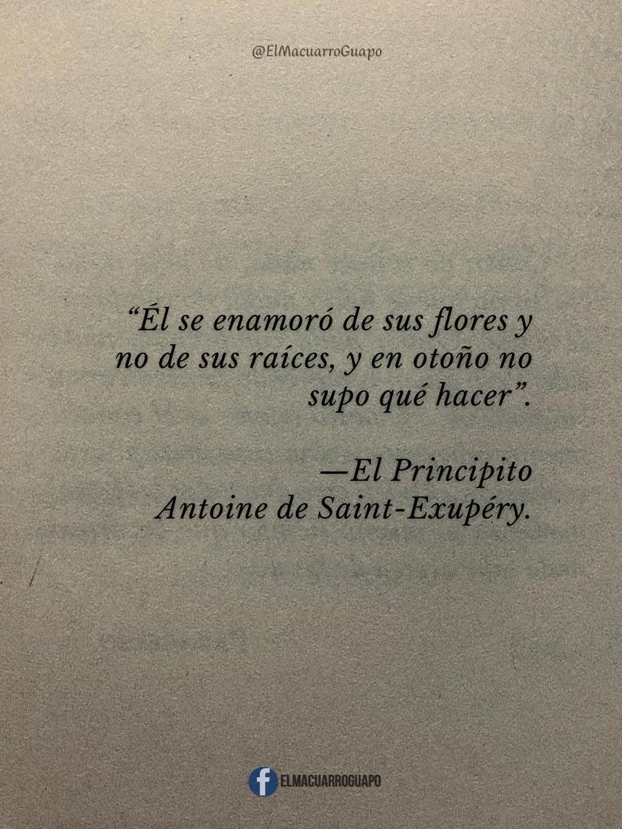 "Él se enamoró de sus flores y no de sus raíces, y en otoño no supo que hacer".

—El Principito.
Antoine de Saint-Exupéry.