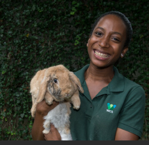 LeandreBaka2's tweet photo. “The best way to predict the future is to create it.”– Peter Drucker
Dream big for your farm. Plan, innovate, and act boldly. Let’s create a future where rabbit farming thrives like never before. #AgriHopper #HoppersForChange #ThevoiceofFarmer #RabbitDreams #FarmVision https://t.co/x8XBcP4Cxn