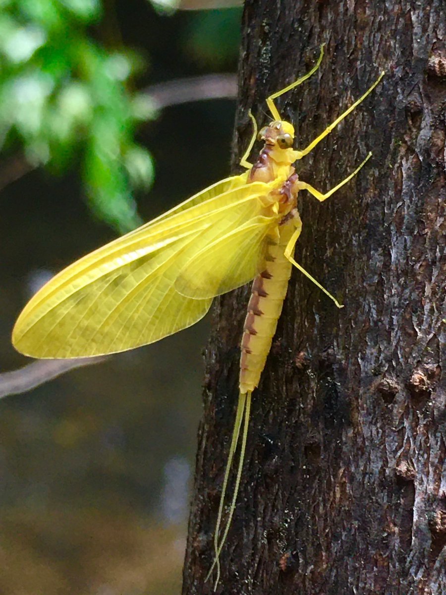 Brian Smith tweet media