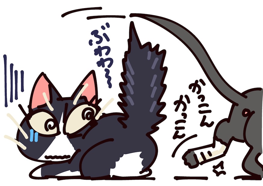 #過去絵を投げて絵を描いた気になろうキャンペーン
アニャ吉が骨折した時。10年くらい前かぁ〜 