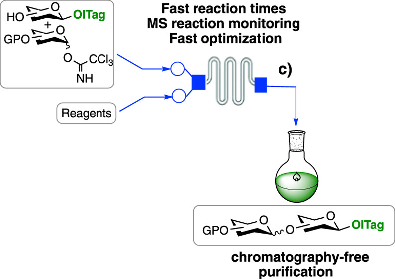 JACS Au (@jacs_au) on Twitter photo A continuous microfluidic glycosylation strategy combining imidazolium-based chromatography-free purification and in situ MS reaction monitoring expedites oligosaccharide synthesis <a href="/MattiaGhirarde2/">Mattia Ghirardello</a> <a href="/JaviRamSor/">Javier Ramos-Soriano</a> <a href="/_fjrm/">F. Javier Rojo</a> <a href="/MCGalan_Bristol/">M. Carmen Galan</a> <a href="/BristolChem/">Bristol Chemistry</a> 👉 go.acs.org/c5d A continuous microfluidic glycosylation strategy combining imidazolium-based chromatography-free purification and in situ MS reaction monitoring expedites oligosaccharide synthesis <a href="/MattiaGhirarde2/">Mattia Ghirardello</a> <a href="/JaviRamSor/">Javier Ramos-Soriano</a> <a href="/_fjrm/">F. Javier Rojo</a> <a href="/MCGalan_Bristol/">M. Carmen Galan</a> <a href="/BristolChem/">Bristol Chemistry</a> 👉 go.acs.org/c5d