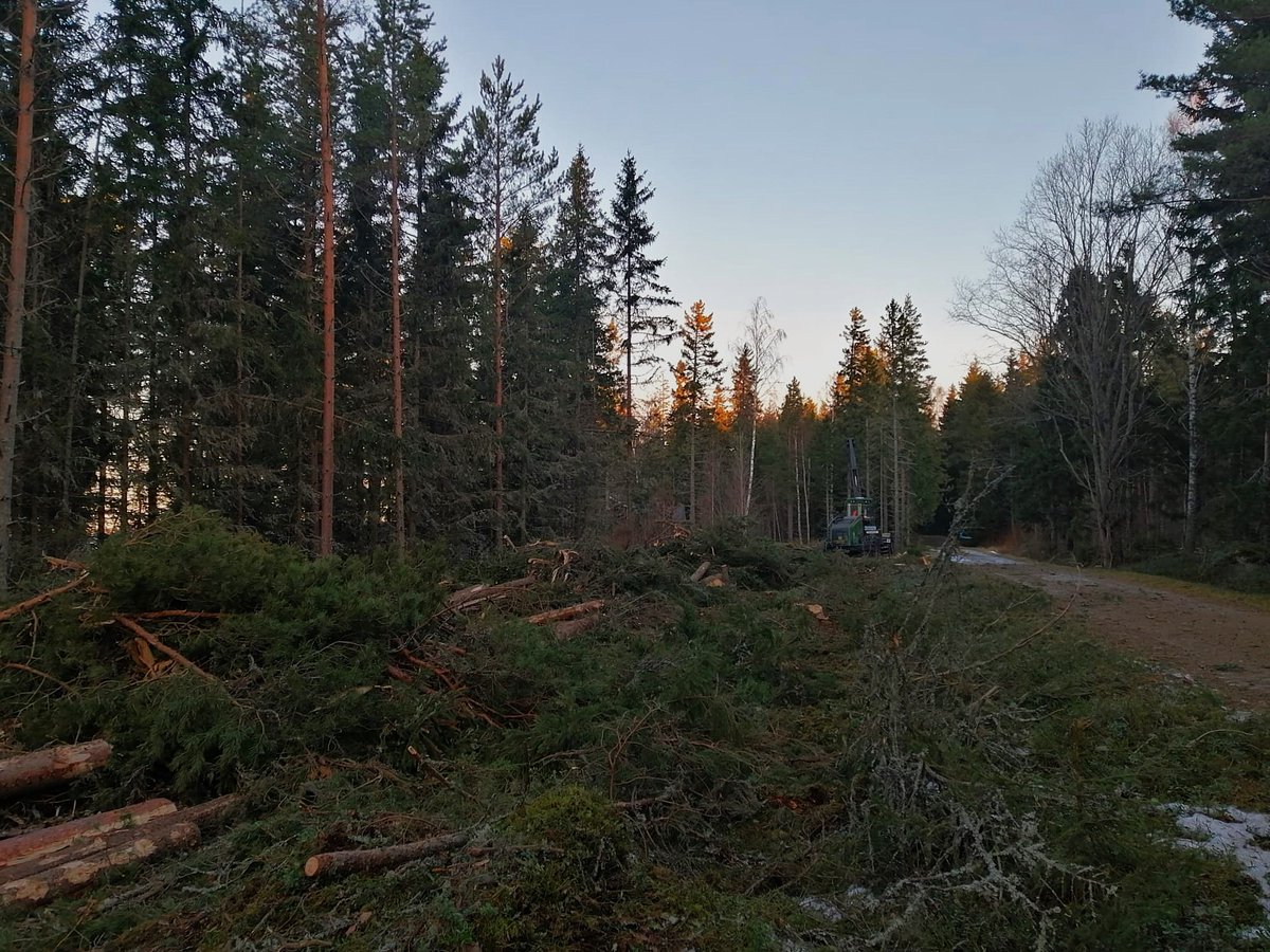 Vi avslutar året 2024 med en hälsning från Närpes. Här har en upphuggning genomförts i syfte att förbereda marken inför en vattenledning som ska dras i området. 💧

Vi önskar er alla ett Gott Nytt År – vi ses i flödet nästa år!

📸 Jessica Grankull