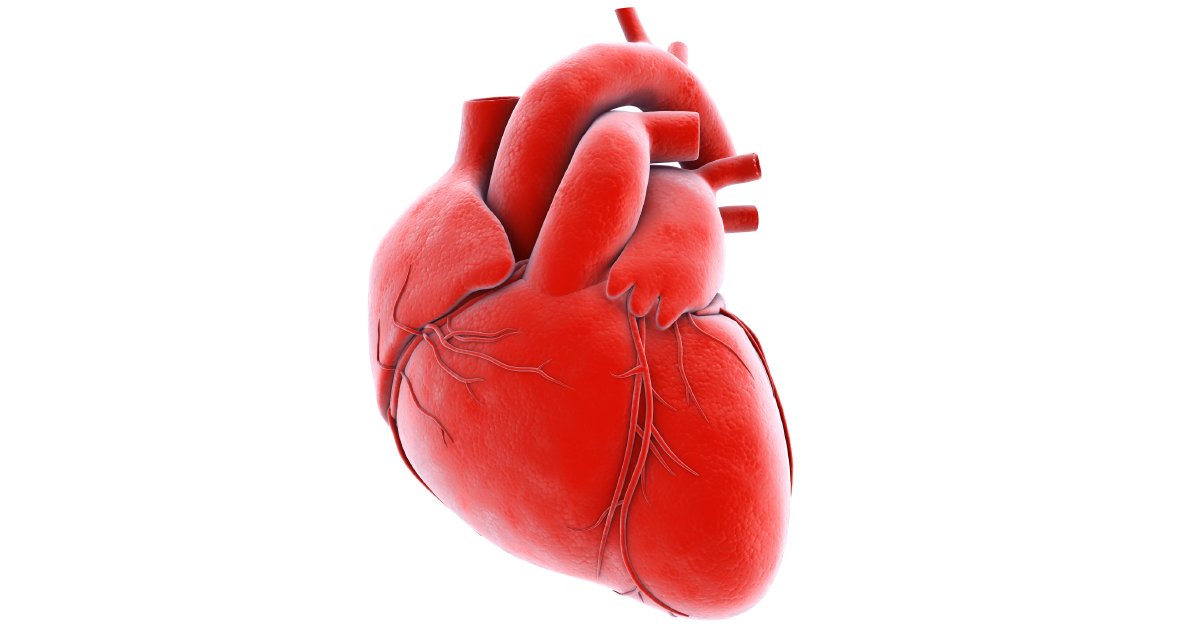 Your heart doesn’t have to work as hard when you drink enough water. In fact, even mild dehydration affects your blood vessels (making them less springy) about the same as smoking a cigarette. Learn more: wb.md/3ZLJRlz