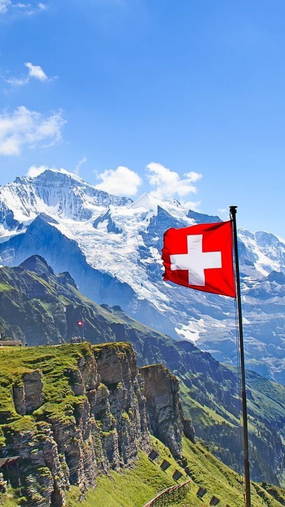 Eloy Portell tweet media