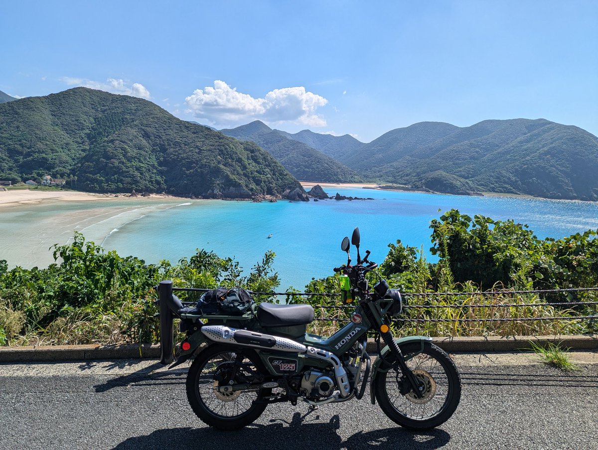 shishilemo's tweet photo. 2024年のodo11700km
来年も安全運転で https://t.co/I9lbUnVq0h