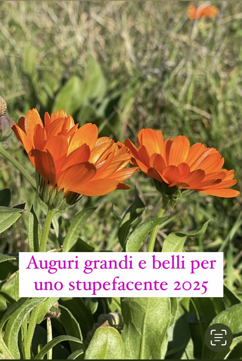 #auguri #2025