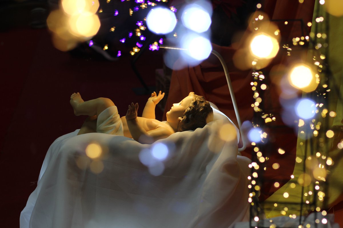 📷 | ¡Ya puedes descargar todas las fotos de #EncuentroNatus24! #Navidad #LaSalle💙💛 Haz clic aquí ➡️shre.ink/bzQx
