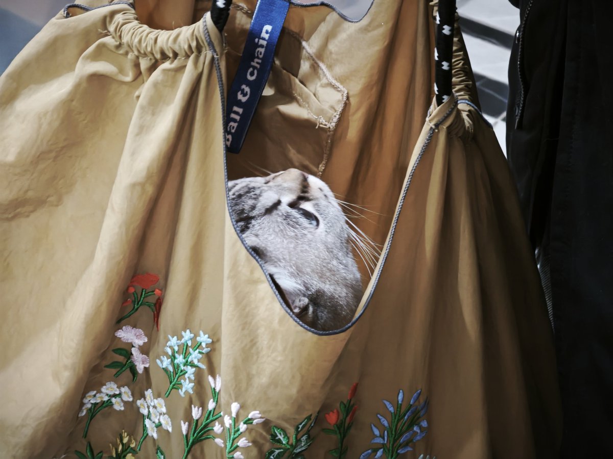 孩子想开点
这是你今年最后一次被套麻袋