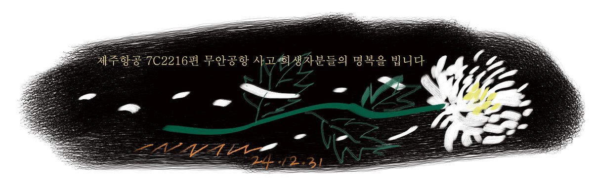 제주항공 무안공항 사고 희생자분들의 명복을 빕니다.
5dsei.tistory.com