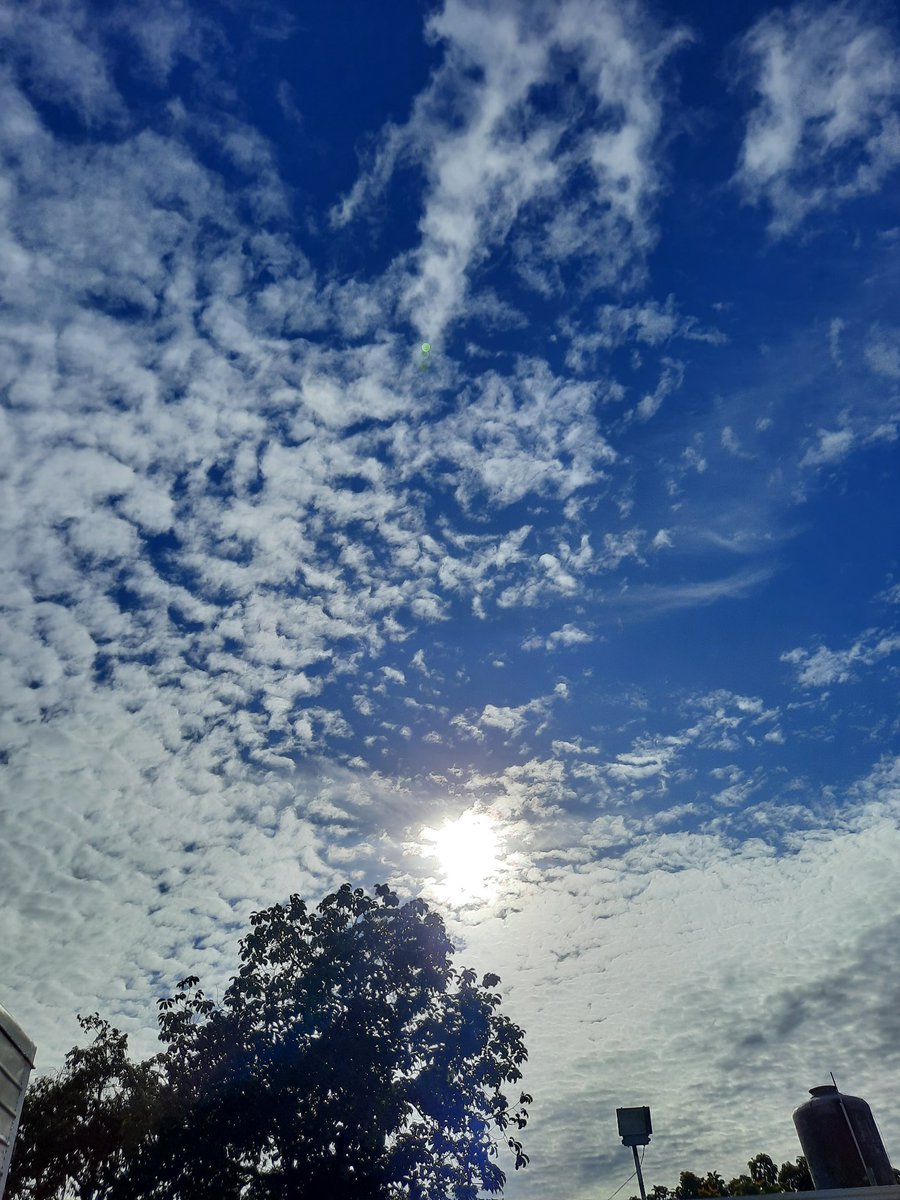 Así de Bonito , 
Último Día del Año 2024..

2025 ..
Ahí Vamos por  Ti..

🙏💙😉🤗