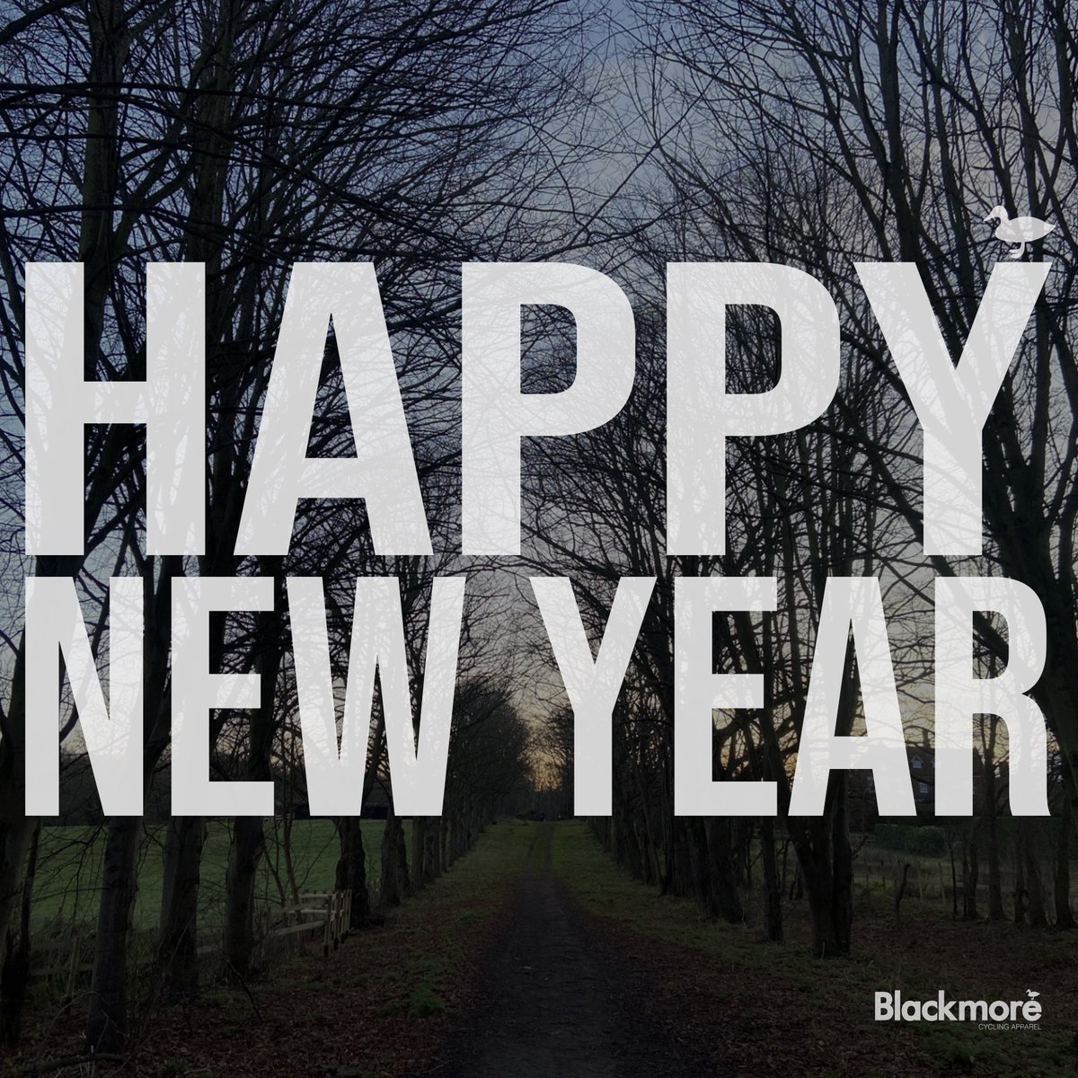 RideBlackmore's tweet photo. From all of us in The DH! Here’s to ‘25!
https://t.co/SdkmChStWR
#wangit https://t.co/C5RcljshDI