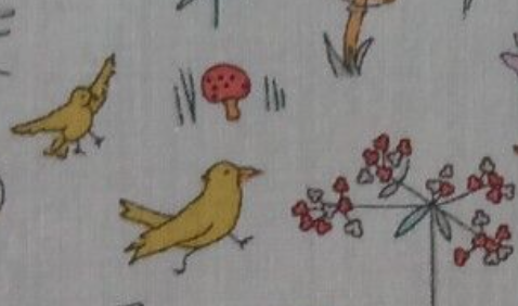 Emma Mitchell 💙 tweet media