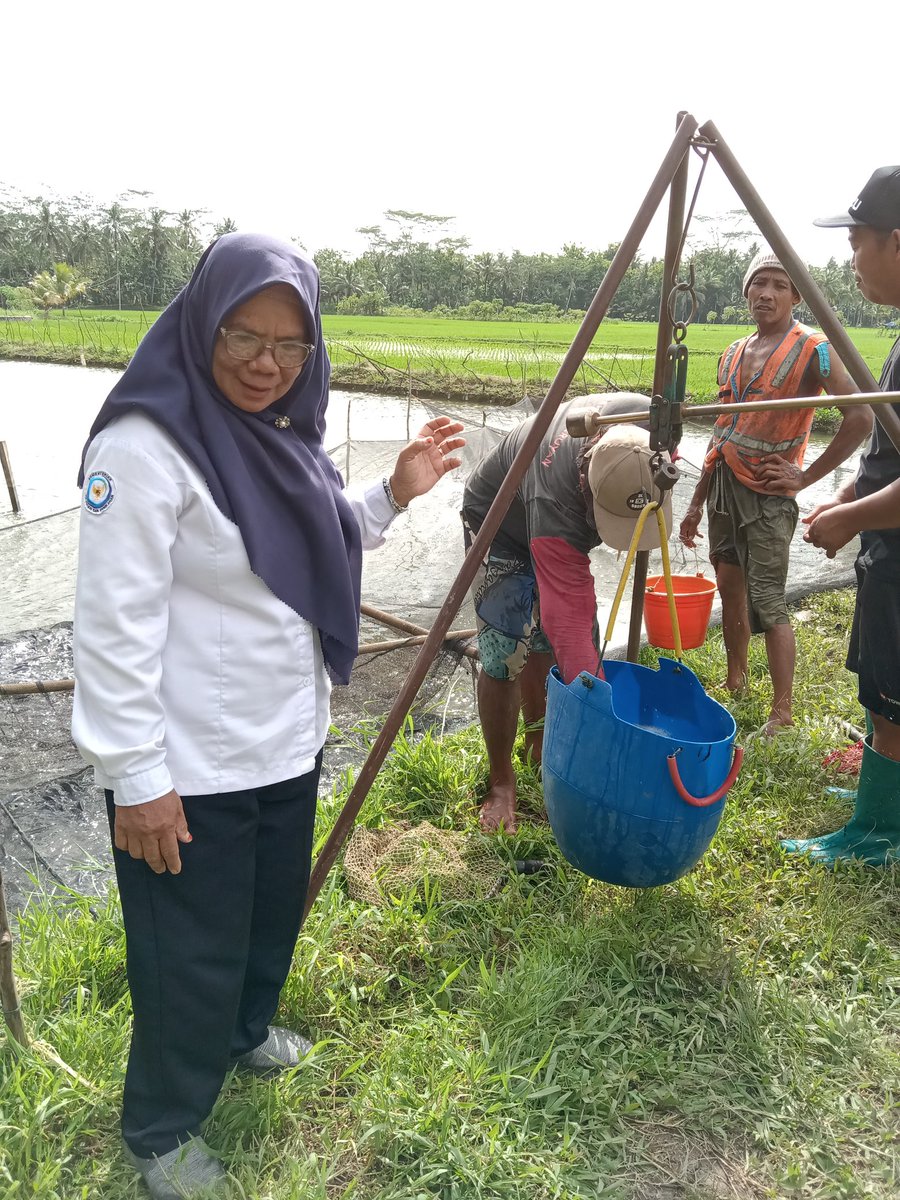 Darsitipnd's tweet photo. Senin, 30/12/24, Darsiti Luhkan Kab. Pangandaran di pokdakan Mina mekarjaya Ds Sidomulyo Mdpgi panen ikan Nila sbyk 520 kg @27000/kg
#Giatluhkansatminkalbogor #pangandaran #panen #luhlapor @bppsdm_puslatkp @brpbatpp_bogor @brpbatpp_bogor https://t.co/gWk7aO7BsY
