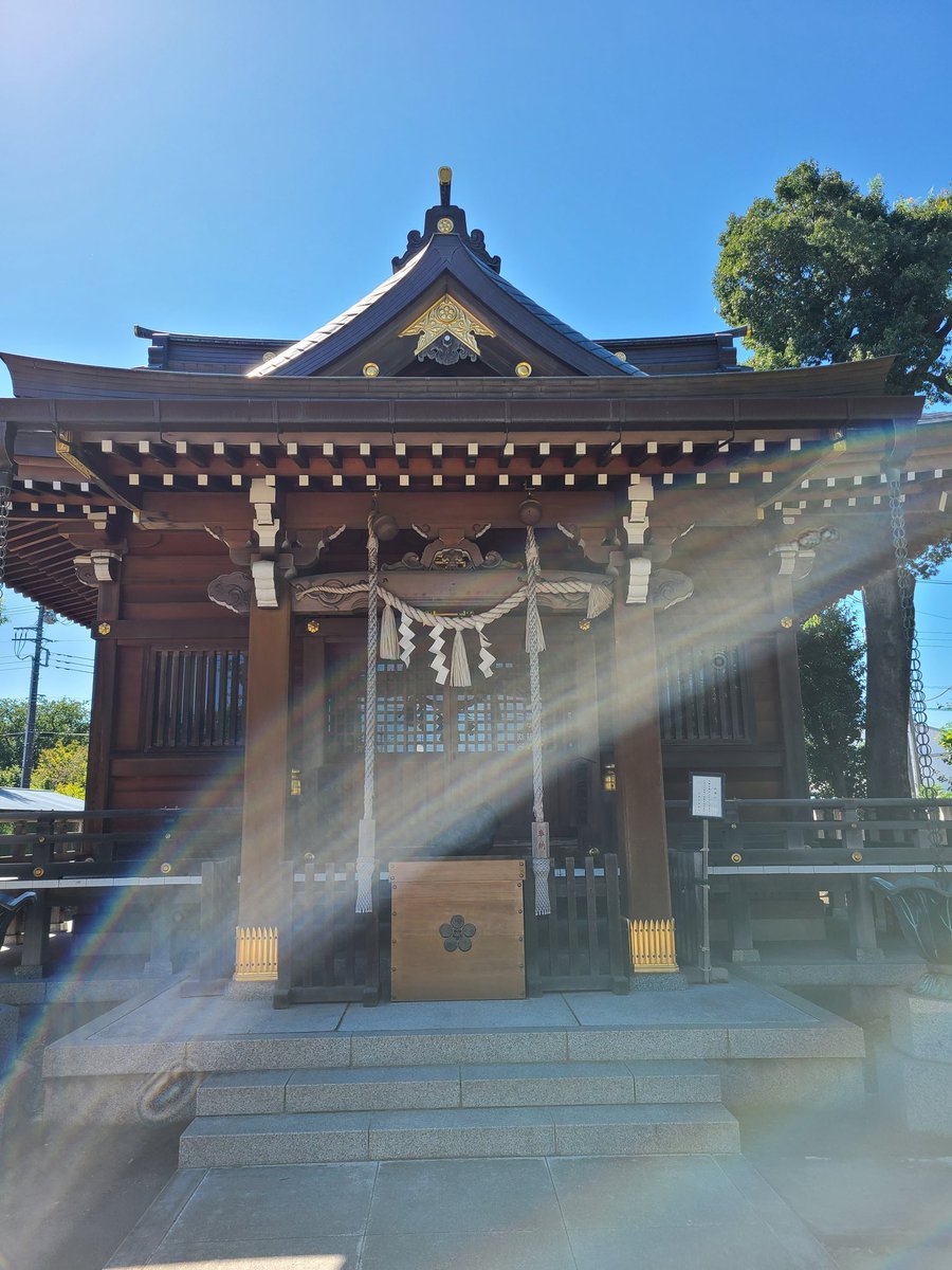 ranchan0358's tweet photo. 今年もお世話になりました💝
来年も宜しくお願い致します
皆様　良いお年を……
#大晦日 　#良いお年を　
#〆のご挨拶　#蘭佳代子 https://t.co/yXA8RDr2UL