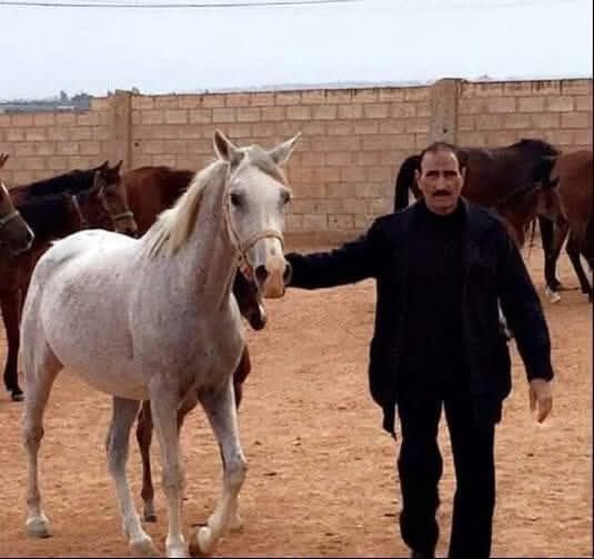 YOUSEF AL-MAJALI (التميمي) tweet media