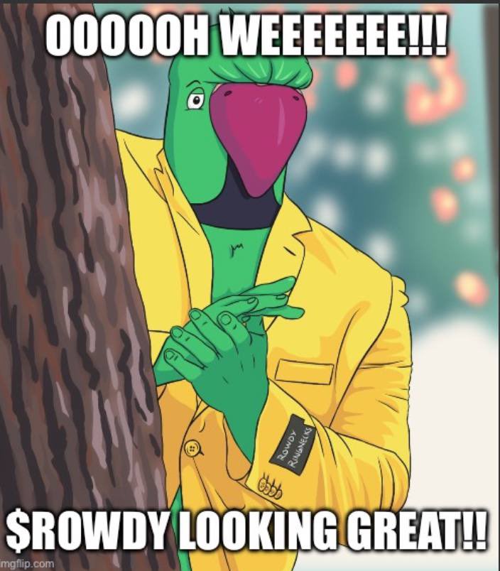 <a href="/davidgokhshtein/">David Gokhshtein</a> Don’t fade $ROWDY 💎🦜

<a href="/RowdyRingnecks/">Rowdy 🦜</a> 

CMGRZ99BEnhEn3MXVxpfUsH7UKENyJBaGS41zeTDpump 

t.me/rowdyringnecks