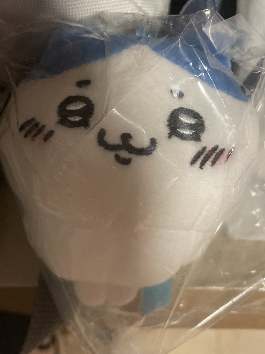 rinu_uu's tweet photo. I LOVE HACHIWARE !! https://t.co/gcLgGzbwFh
