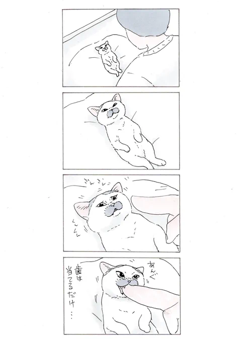 『甘噛み』 