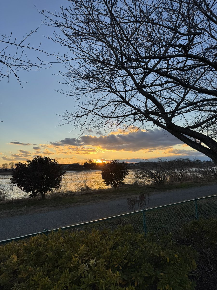 potchannel36's tweet photo. こんにちは😄

2024年も残りあと少しですね〜

2024年も「ぽて爺ちゃんねる」を応援していただき、そしてたくさんの方々のチャンネル登録もしていただきました。

ありがとうございました😃

2025年も相変わらずのゆるゆるな感じで楽しんで動画作成していきたいと思います😁

それでは皆さん、良いお年を😊

#ぽて爺ちゃんねる
#ありがとう