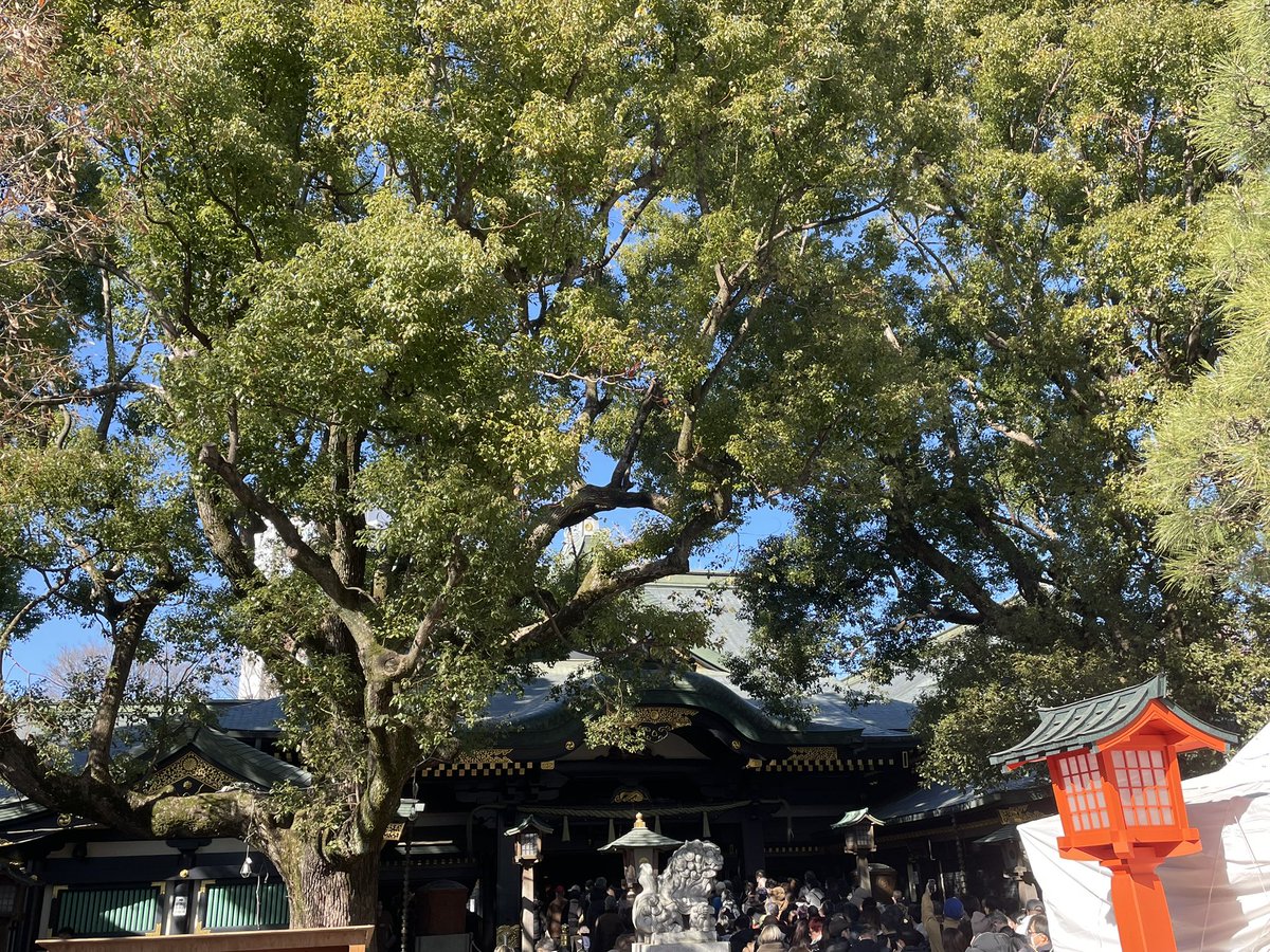 3Gaynosuke3's tweet photo. 毎年恒例の一陽来復御守をいただきに、早稲田にある穴八幡宮へ参拝してきました。
流れは順調で、すぐに買うことができました。
今年もお世話になりました。
皆さま、よい年をお迎えください。
#一陽来復
#穴八幡宮 https://t.co/y7I2qwaf1e