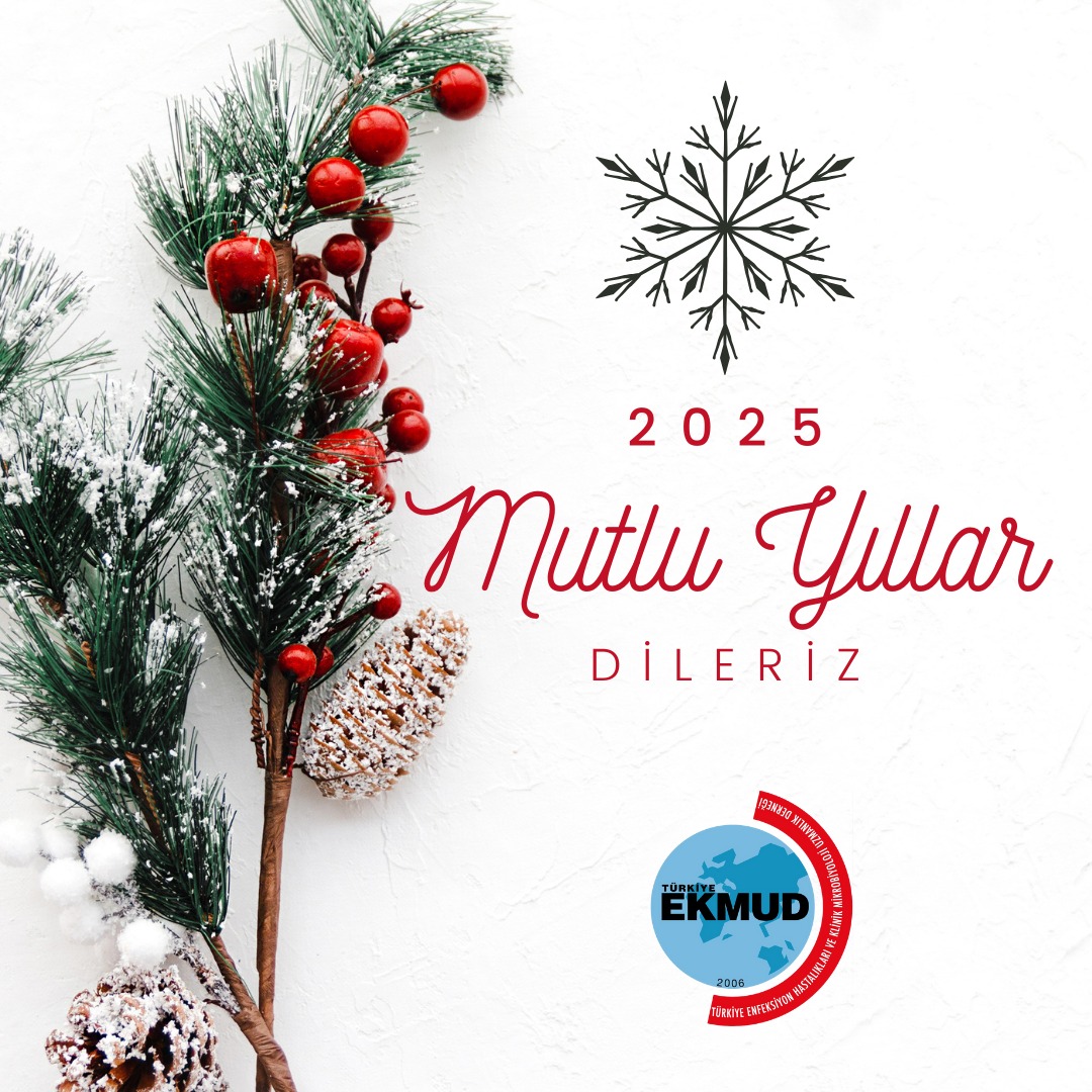 EKMUD_TR's tweet photo. 2025 yılının sağlık ve huzur getirmesi dileğiyle.
#2025 https://t.co/5t55WJTeTJ