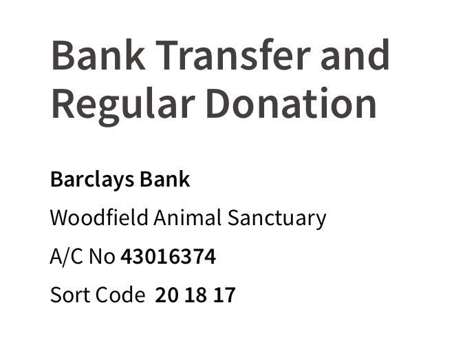 Woodfield Animal Sanctuary (@animalwoodfield) on Twitter photo It’s the time for New Year resolutions! If you would like one of yours to be to help an animal charity then please consider becoming a regular donor to <a href="/AnimalWoodfield/">Woodfield Animal Sanctuary</a>. A monthly donation of just one £/$/€ makes a big difference 💜
HAPPY NEW YEAR!! It’s the time for New Year resolutions! If you would like one of yours to be to help an animal charity then please consider becoming a regular donor to <a href="/AnimalWoodfield/">Woodfield Animal Sanctuary</a>. A monthly donation of just one £/$/€ makes a big difference 💜
HAPPY NEW YEAR!!