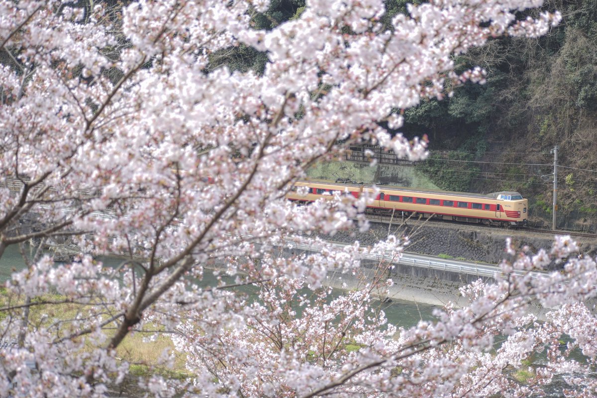 289k225k's tweet photo. #2024年を写真4枚で振り返る 
国鉄色と福知山色！これに尽きる… https://t.co/Swk10ykQTc