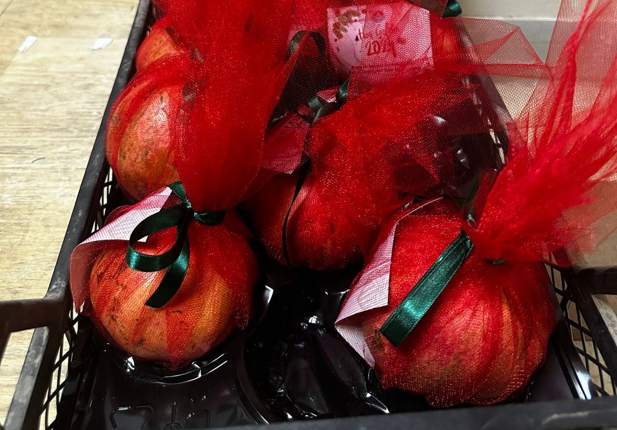 Zor bir yıldı geride bıraktığımız. Biliyorum artık çocukluğumuzun masum yılları da çok geride kaldı. Çok şeyden dersler aldık, olgunlaştık, kabullenemediğimiz şeyler de arttı artık…Masum çocukların çürümüş bedenleri, günü birlik çıkara dayalı insan ilişkileri, savaşta kimsesiz