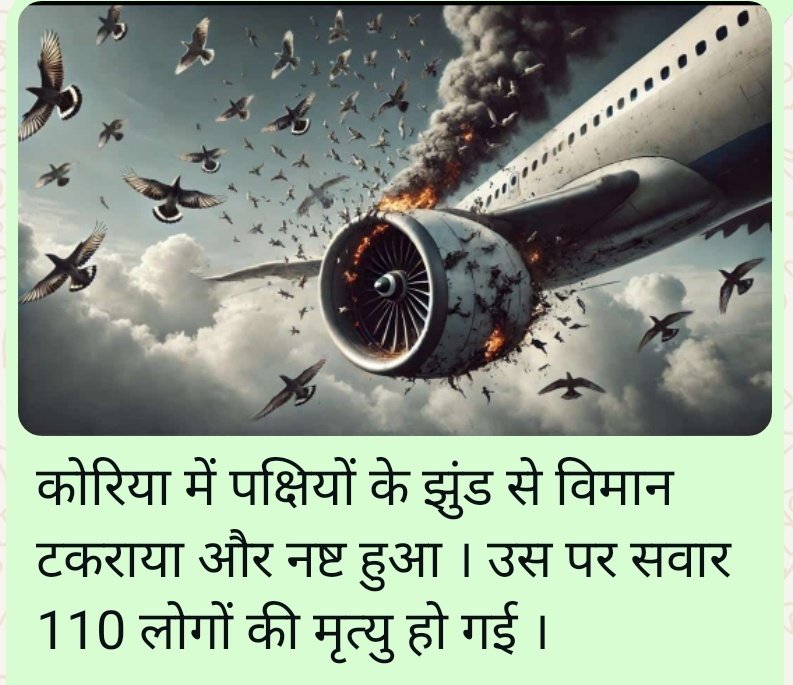 #पक्षियों की #टक्कर भी झेल नहीं पा रही हमारी #तकनीक !!