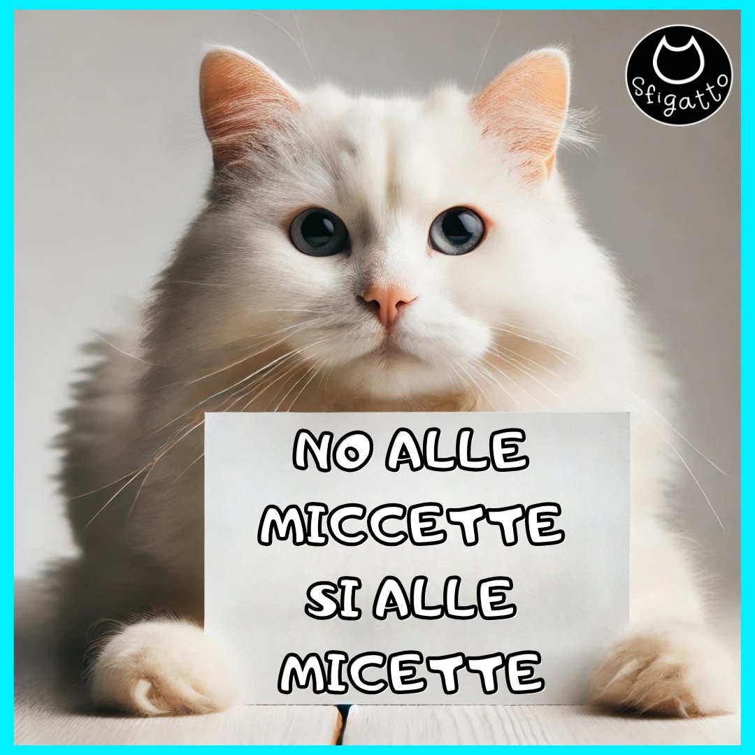 Sfigatto's tweet photo. MI RACCOMANDO FATE BUON ANNO SENZA FAR DEL MALE A NESSUNO https://t.co/xNuM24Sjv3