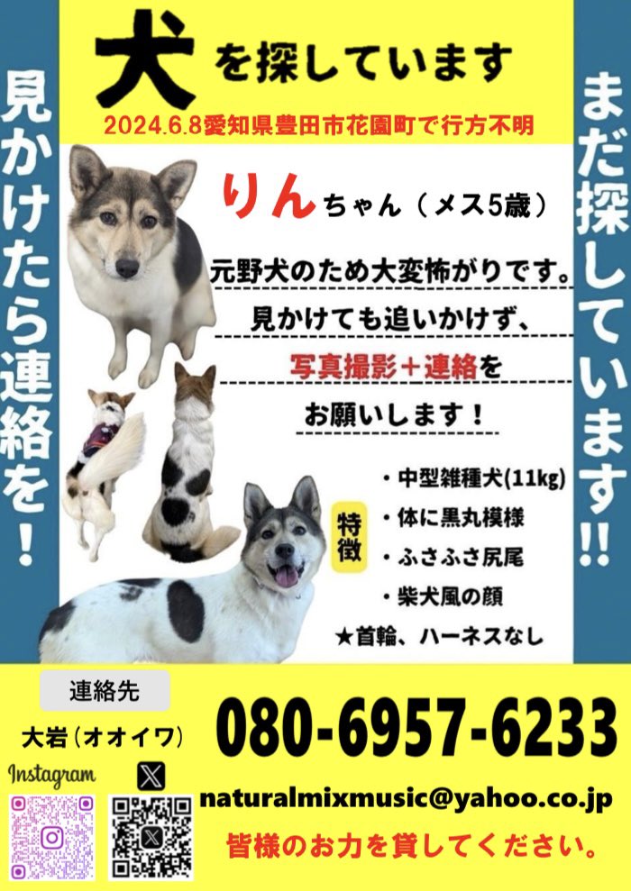 kimubambimix's tweet photo. ◽️捜索記録◽️
2024.6.8〜2024.12.31

新聞折込22,000枚
ポスティング28,000枚
掲示依頼330ヶ所
目撃情報30件

探し続ければいつか見つかると思ってたけどそうじゃないかもしれない。希望は捨ててないけど、奇跡を願うような気持ちに変わってしまった。ここからいつまで続けられるか。#愛知県 #迷い犬 https://t.co/xCkOQ2BWeJ