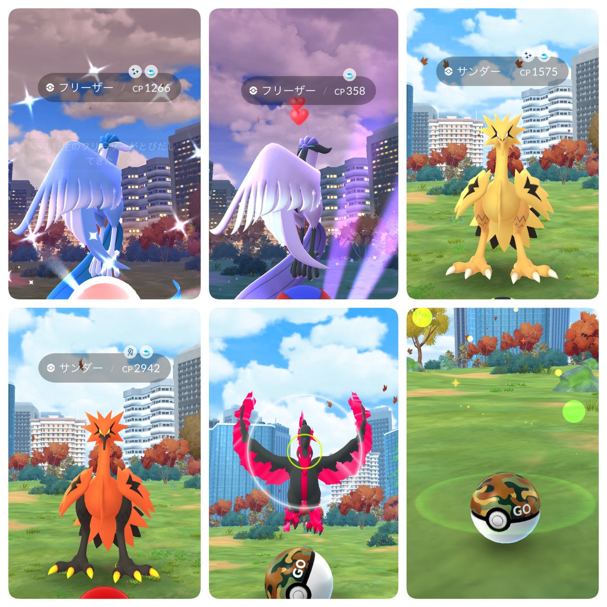 🐸すけパパ@GBL練習生🔰🍵🍖🍺 tweet media