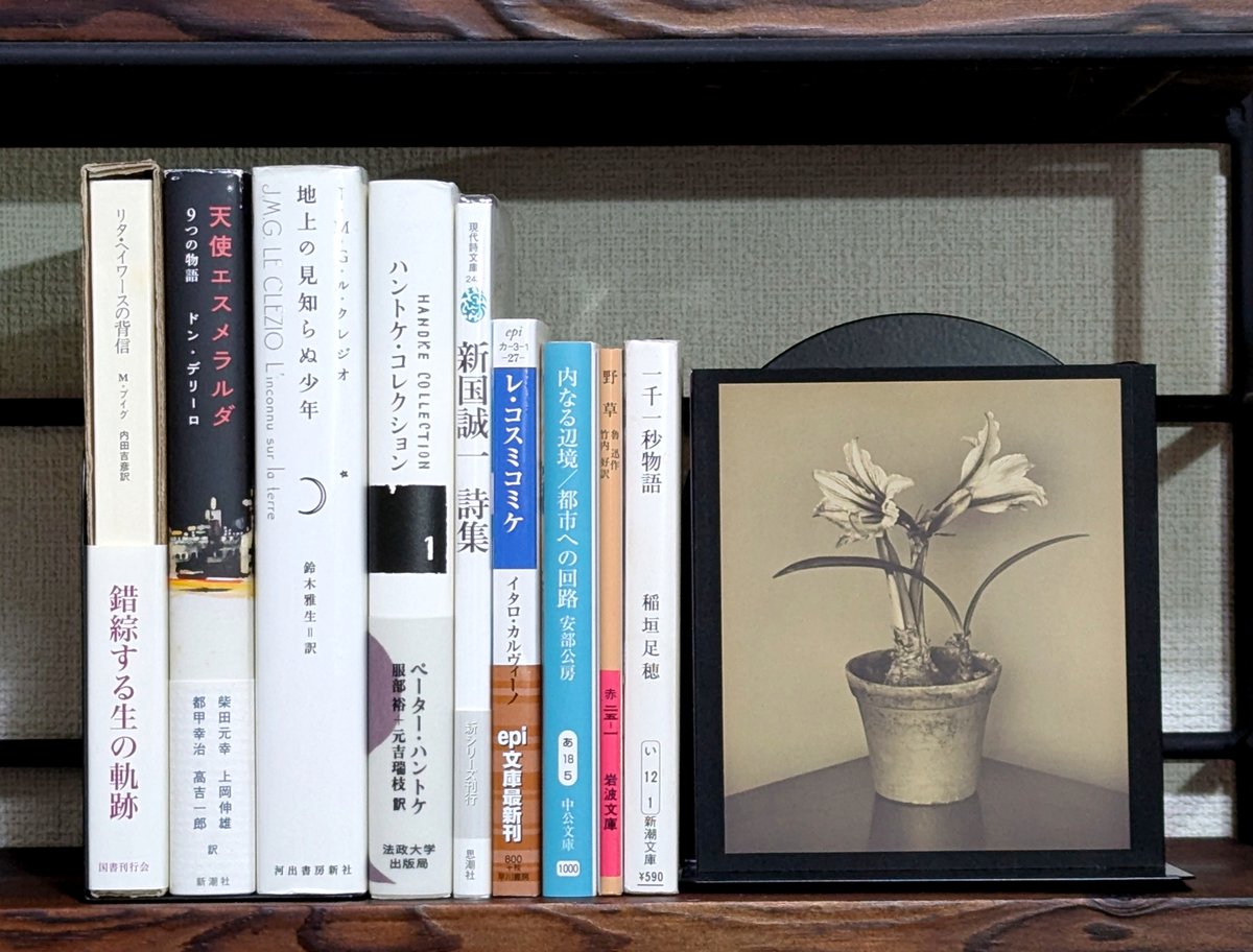 #2024年の本ベスト約10冊

一千一秒物語/稲垣足穂
地上の見知らぬ少年/ル・クレジオ
野草/魯迅
街のスタイル/衣巻省三
内なる辺境/都市への回路/安部公房
レ・コスミコミケ/カルヴィーノ
天使エスメラルダ/デリーロ
新国誠一詩集
長い別れのための短い手紙/ハントケ
リタ・ヘイワースの背信/プイグ