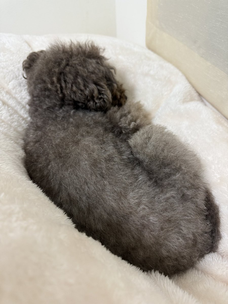 minami528168's tweet image. 2024年ありがとうございました🫶
来年はもっとフォロワーを増やしてたくさんツイートして行けたらと思います🤭
2025年もよろしくお願い致します❕
#福岡 #学生 #LJD #2024 #2025