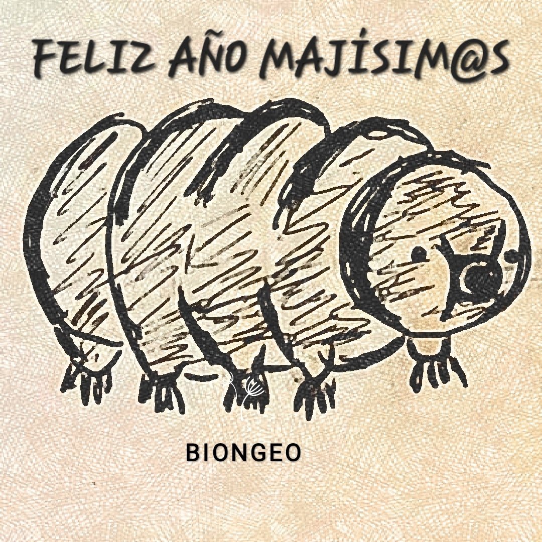 Se acaba el año. 
No se si sabéis que los docentes medimos la vida en cursos escolares y no en años como la gente normal...
Celebramos el fin de año para que el resto de la sociedad nos acepte y no nos miren raro. 
En cualquier caso, ¡os deseo a tod@s lo mejor para el 2025!