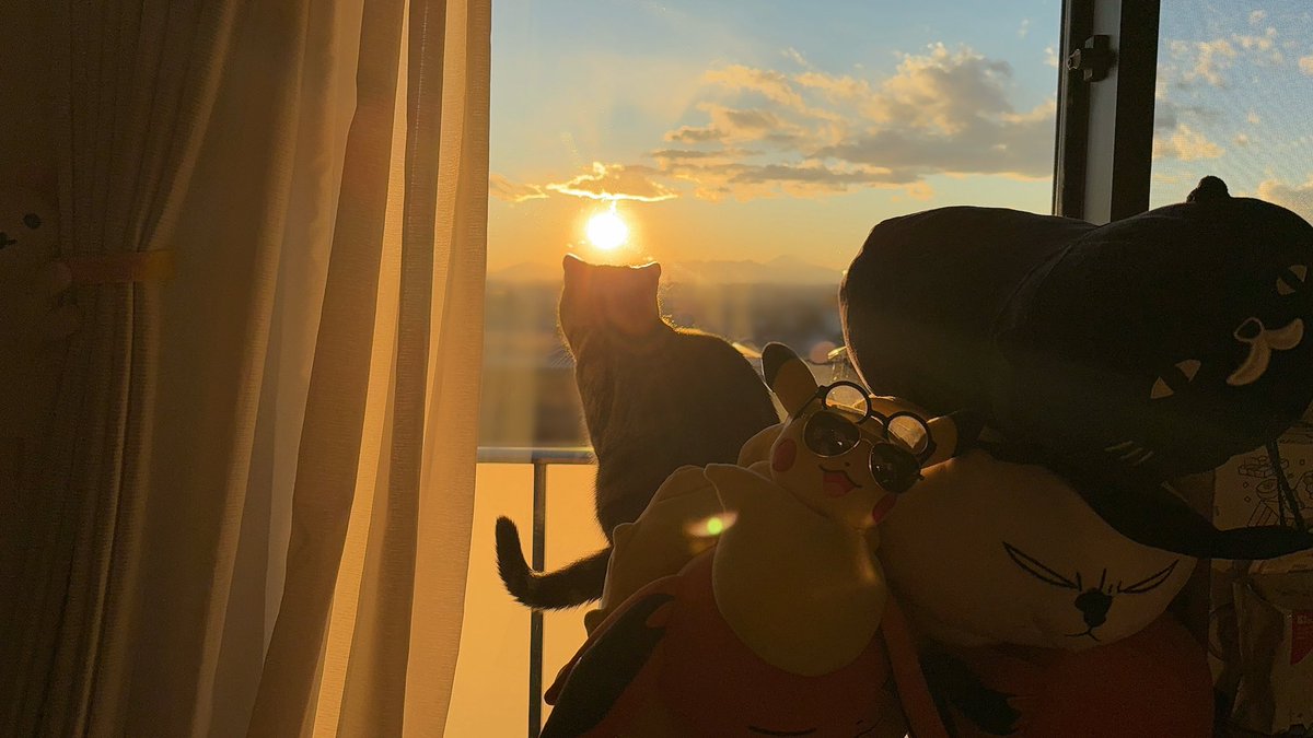 夕焼けとねこ

#猫 #猫といる暮らし #大晦日